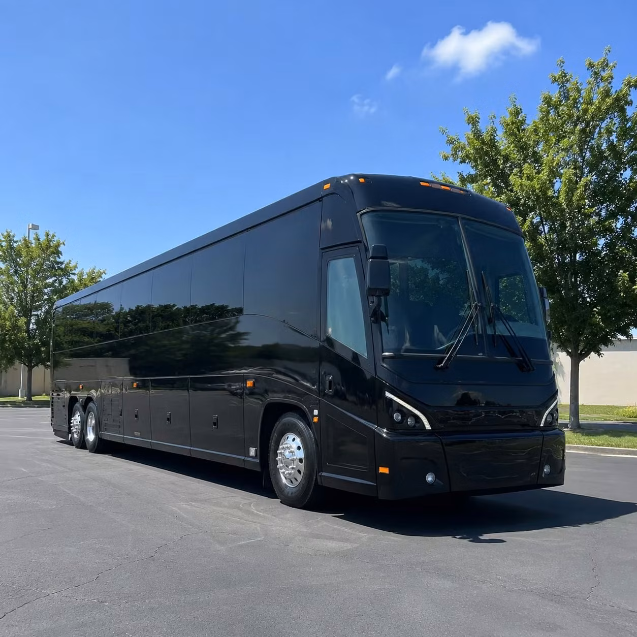 charterbusnewhaven com can handle airport transfers and long distance government transportation from new haven